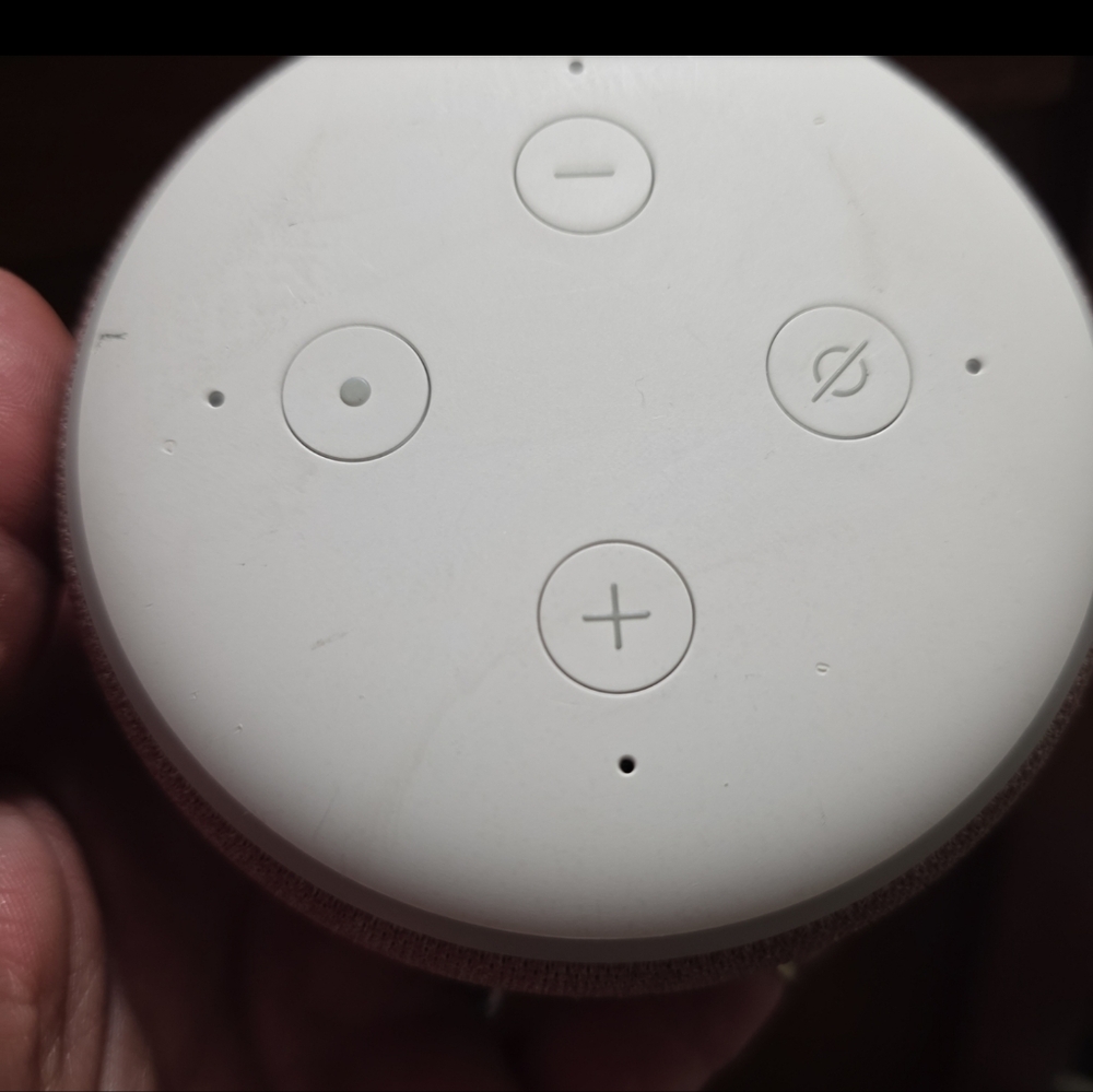 Amazon Echo Dot Cream